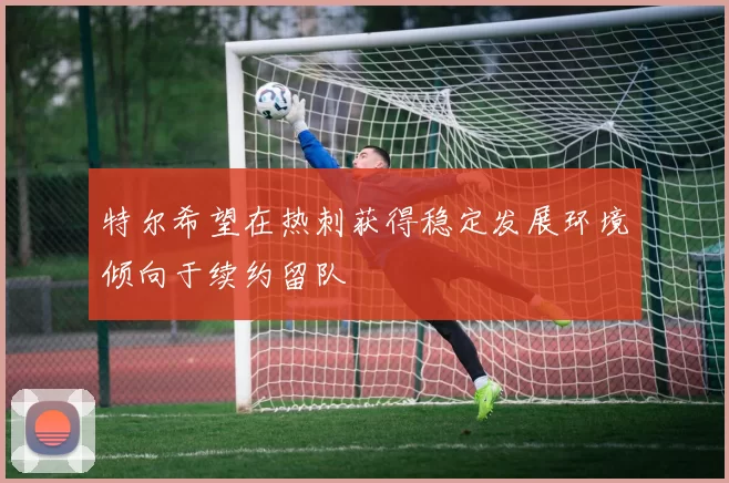 特尔希望在热刺获得稳定发展环境倾向于续约留队